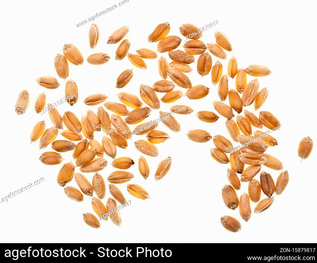 Wheat grain on white background