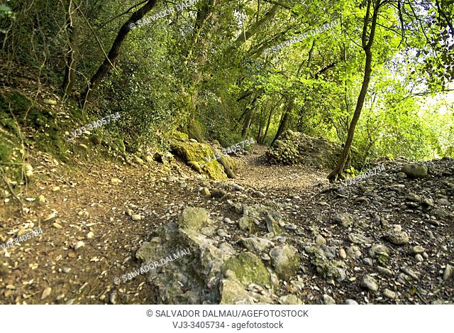 natural path, location les anglades, girona, catalonia, spain
