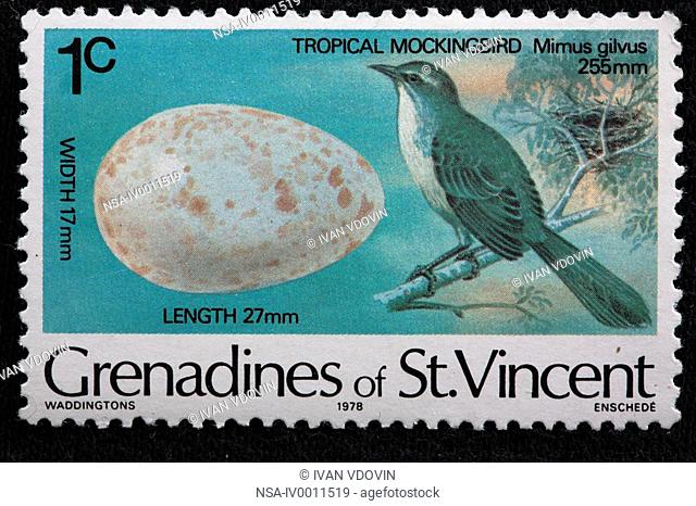 Tropical Mockingbird Mimus gilvus, postage stamp, Saint Vincent and the Grenadines, 1978
