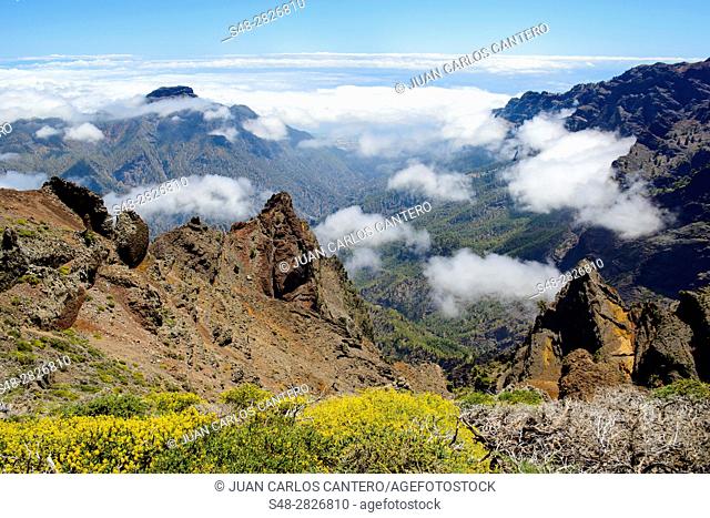 Caldera de Taburiente desde el Roque de los Muchachos. La Palma. Islas Canarias. España. Europa