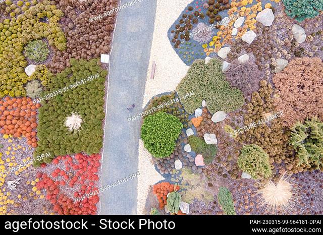 15 March 2023, Saxony, Boxberg: Scandinavian erratic blocks lie in the landscaped garden at the Nochten erratic block park (aerial view taken with a drone)