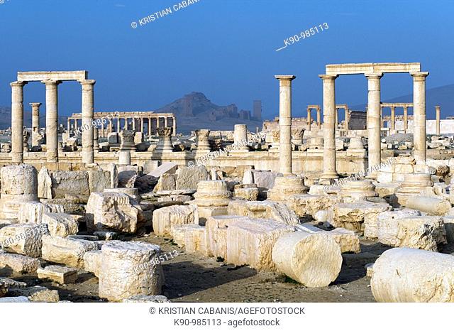 The archeological site of the greco-roman ruins of the city of Palmyra at blue sky, Tadmur, Syria, Near East, Asia