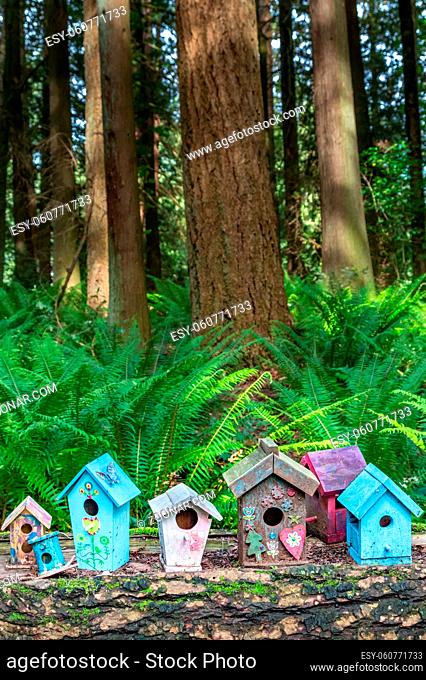 Tiny cute and colorful homemade fairy houses in whimsical styles sitting on log in woodland forest
