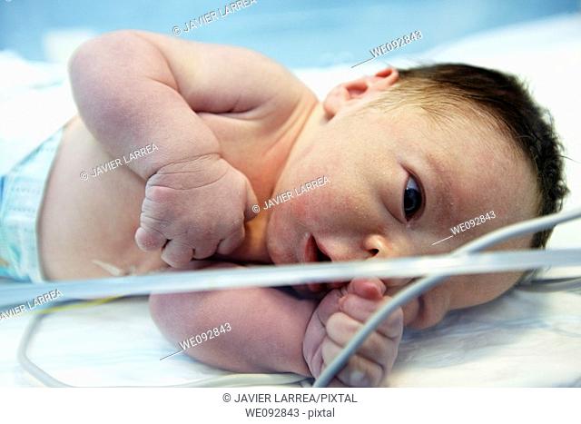 Newborn baby, pediatrics. Hospital Policlinica Gipuzkoa, San Sebastian, Donostia, Euskadi, Spain