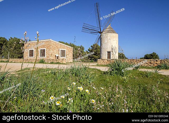 La Mola windmill, Formentera, Pitiusas Islands, Balearic Community, Spain