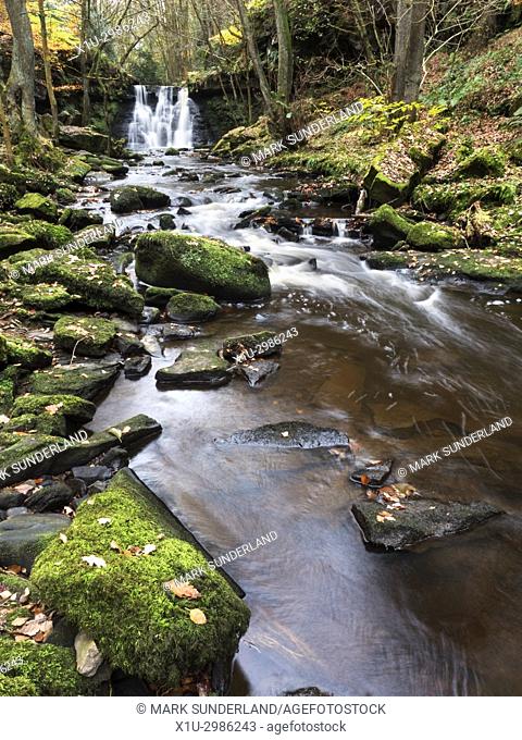 Goitstock Waterfall in Autumn, Goitstock Wood, Cullingworth, West Yorkshire, England
