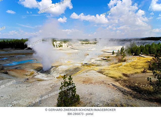 Steaming geysers, Norris Geyser Basin, Yellowstone Nationalpark, Wyoming, USA, United States of America