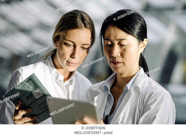 Two female doctors talking
