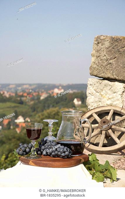 Still life with wine, grapes, wine bottles, a wine decanter and wine glasses, set against the backdrop of Meissen, Saxony, Germany, Europe