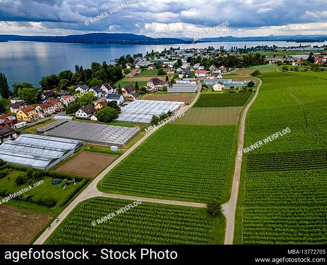 Vegetable island Reichenau