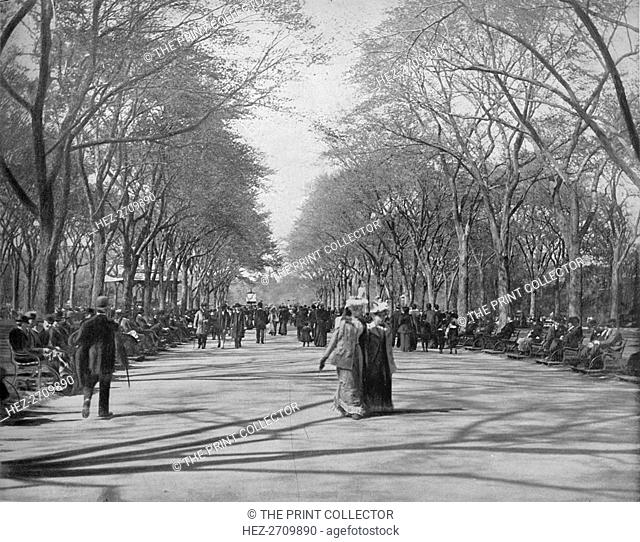 'The Mall, Central Park, New York', c1897. Creator: Unknown