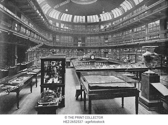 'Interior of the Geological Museum, Jermyn Street', 1904. The Geological Museum (originally The Museum of Practical Geology