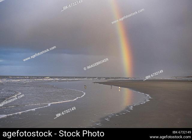 Rainbow on the beach, Langeoog, East Frisian Islands, Lower Saxony, Germany, Europe