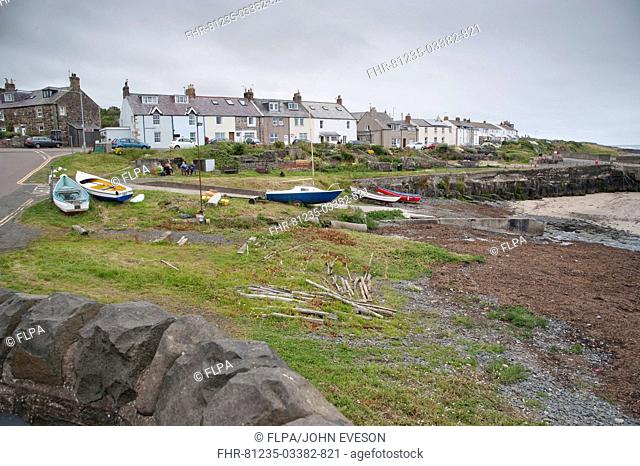 View of fishing village harbour, Craster, Northumberland, England, july