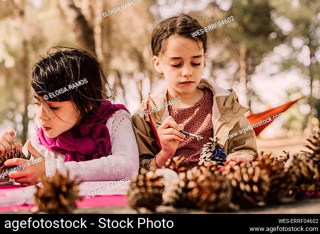 Cute girls decorating pine cones with watercolor painting at table in park