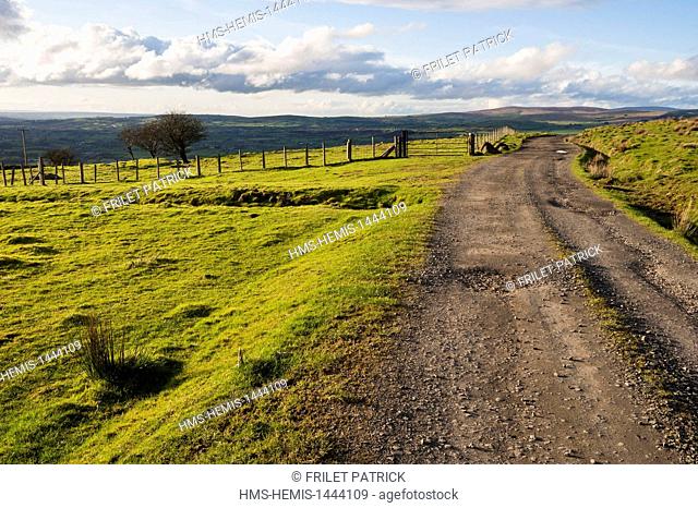 United Kingdom, Northern Ireland, County Antrim, Slemish Mountain near Broughshane