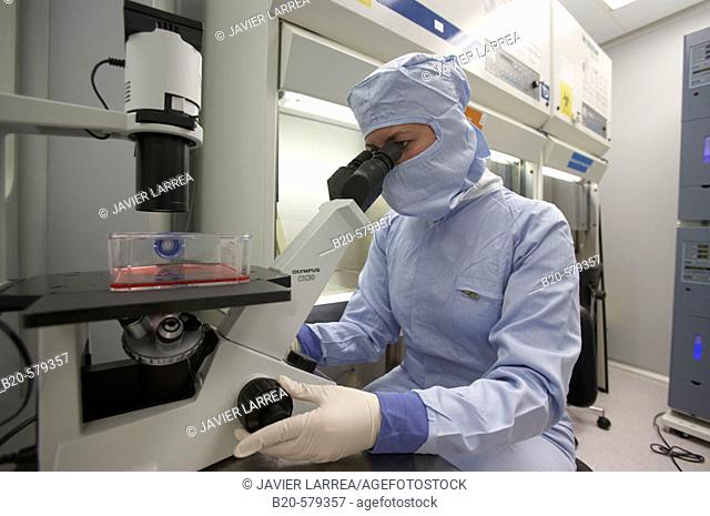 Analyzing samples in microscope. Production room, grade B. Clean room. Laboratory, Fundación Inbiomed, Genetrix Group. Center for research in stem cells and...