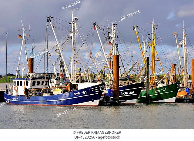 Shrimp boats in the port of Norddeich, North Sea, Lower Saxony, Germany