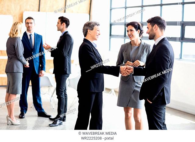 Business people standing and talking
