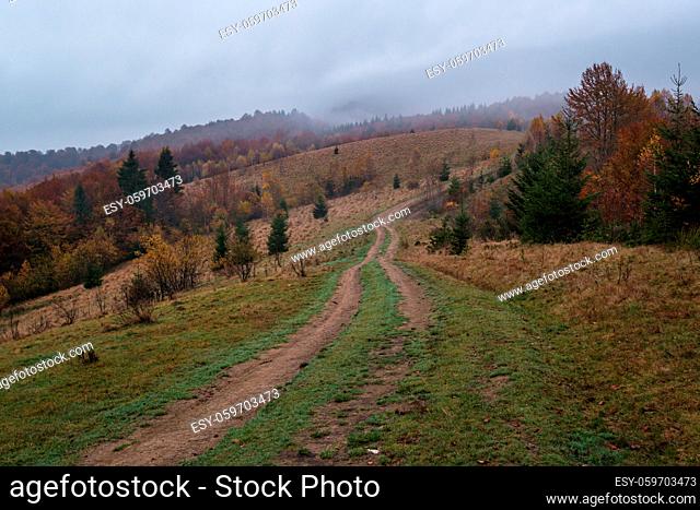 Hazy and overcast early morning in autumn Carpathian Mountains and dirty countryside path, Ukraine
