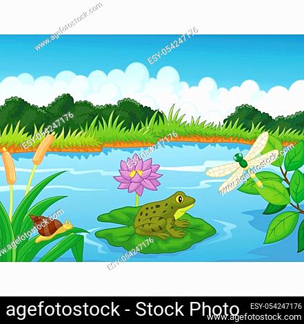 Illustration of a frog in the lake