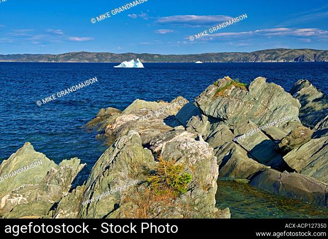 Rocky shoreline along the Atlantic Ocean. Baie Verte Peninsula. Coachman's Cove Newfoundland & Labrador Canada