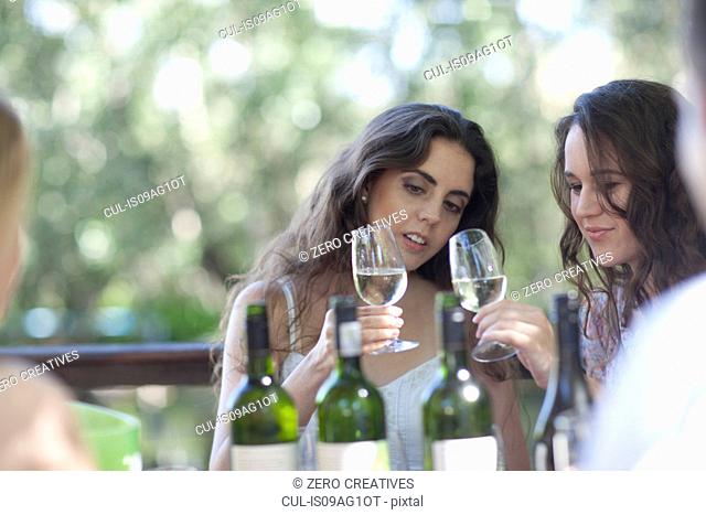 Young friends tasting wine at vineyard bar