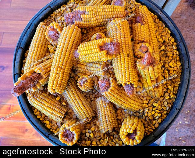 large barrel or container of yellow corn kernels on wood floor