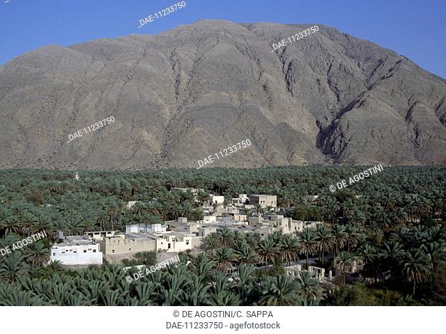Palm grove with a village and mountain range in the background, Nakhl, Oman