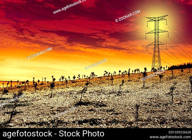 Olive grove and fields in Spain after harvesting at sunrise. Electrical power lines on pylons in the landscape of the Iberian Peninsula