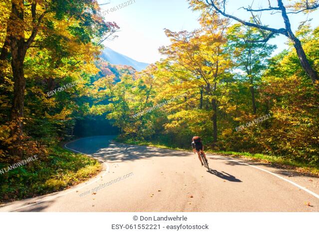 Cyclist biking down a curvy S-Shaped road on an autumn day in Vermont