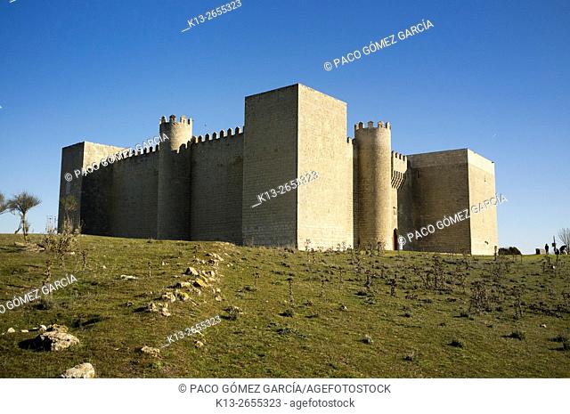 Montealegre Castle. Valladolid province. Spain