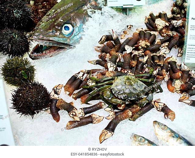 Fish, crab and seafood on store shelves