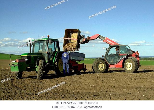 Potato Solanum tuberosum crop, farmer loading seed potato into seed drill using teleporter, Northumberland, England
