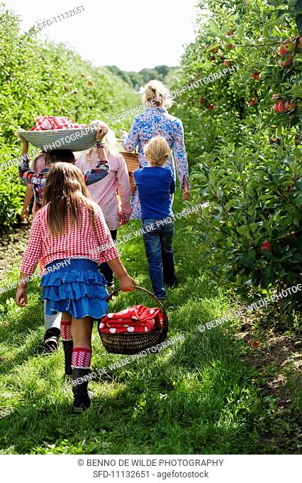 A mother and her children walking through an apple orchard