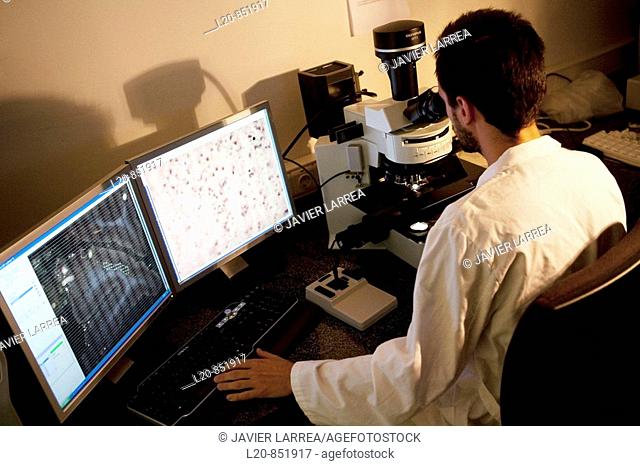 Microscope, Department of Neuropharmacology, IIBB - Institute for Biomedical Research of Barcelona, CSIC - Consejo Superior de Investigacion Cientifica (Spanish...