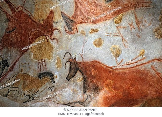 France, Dordogne, Perigord Noir, Vallee de la Vezere, Montignac sur Vezere, listed as World Heritage by UNESCO, Grotte de Lascaux II, cave paintings