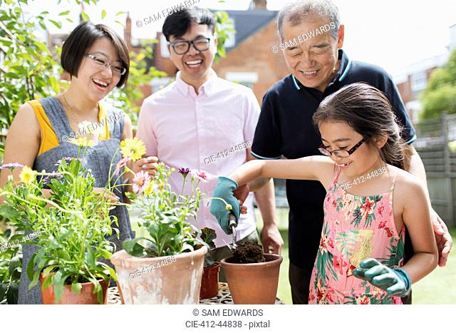 Multi-generation family gardening, potting flowers in sunny yard