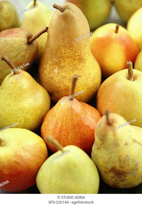 Various types of pears filling the picture