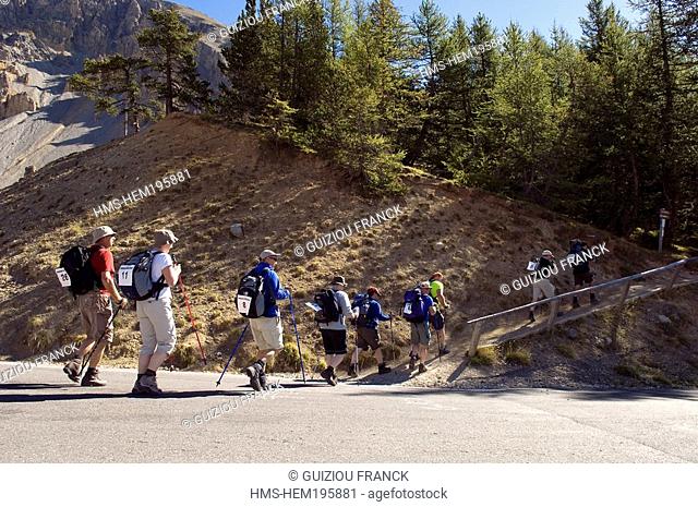 France, Hautes Alpes, Parc National Regional du Queyras, hike at the departure of Casse Deserte near Col d' Izoard