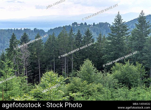 Europe, Germany, Southern Germany, Baden-Wuerttemberg, Black Forest, View over the forest to Castle Bürgeln