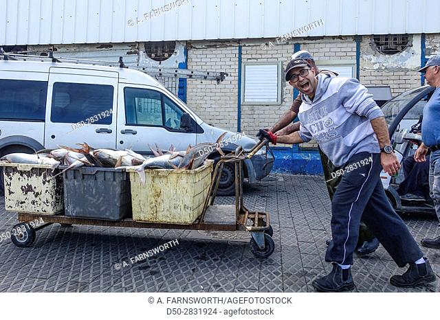 TEL AVIV ISRAEL Fishermen with their catch Old Jaffa