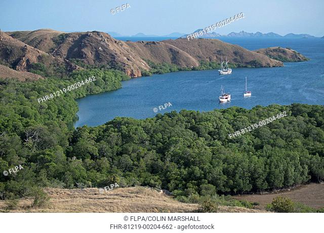 View of bay with liveaboard dive boats, Rinca Island, Komodo N.P., Lesser Sunda Islands, Indonesia, July