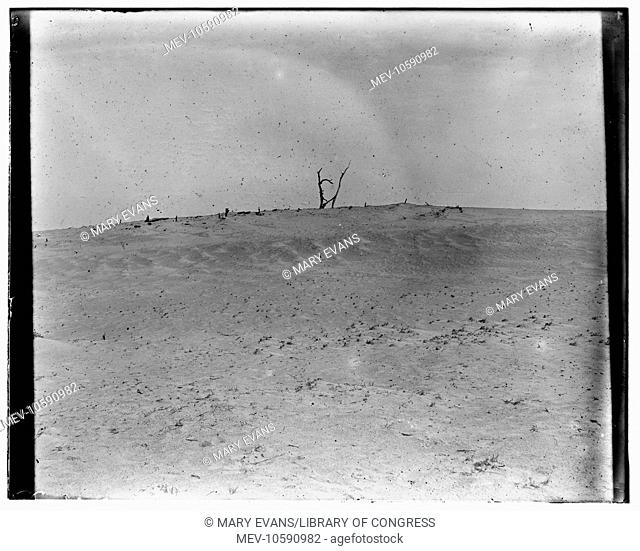 View of Kitty Hawk, North Carolina, photographed by the Wright brothers in the vicinity of their 1900 camp, where they conducted their first gliding experiments...