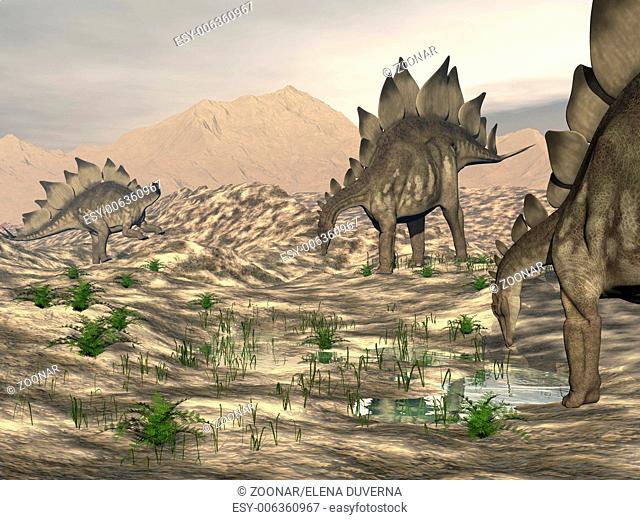 Stegosaurus near water - 3D render