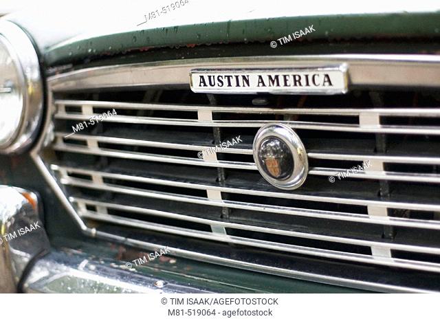 Front of Austin America car. Saanich, British Columbia, 8 January 2006