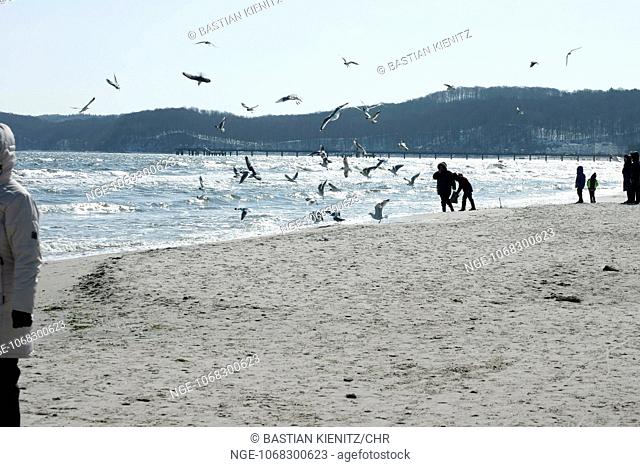 Baltic beach with gulls