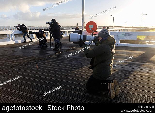 Illustration picture shows photographers at a press moment to see the Ross gull, spotted at the Yser estuary in Nieuwpoort, Thursday 06 January 2022