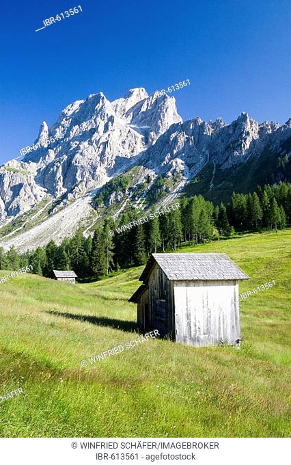 Mt. Rotwand near Moss, Dolomites, Italy, Europe