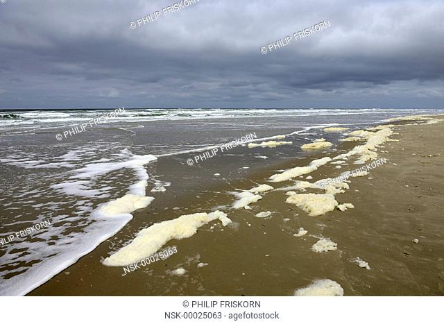 The beach of Terschelling with foam and a dark clouded sky, The Netherlands, Friesland, Terschelling